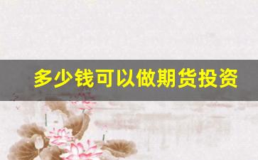 多少钱可以做期货投资(要多少钱才能做期货)_https://www.xzdzcjx.com_创业板_第1张