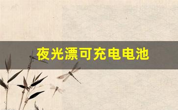 夜光漂可充电电池(夜光漂排行榜前十名)_https://www.nalian8.com_深交所_第1张