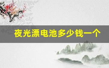 夜光漂电池多少钱一个(夜光漂电池一般能用多久)_https://www.hangfeite.com_科创板_第1张