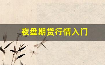 夜盘期货行情入门(给我讲一下期货夜盘的表现)_https://www.wanyuyiyao.com_上交所_第1张