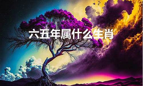 夜空寓意什么生肖和动物_夜空指什么生肖