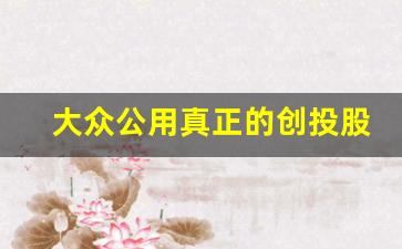 大众公用真正的创投股龙头_https://www.gfdzclz.com_科创板_第1张