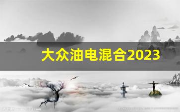 大众油电混合2023款报价(大众油电混合2023款报价7座车)_https://www.wanyuyiyao.com_创业板_第1张
