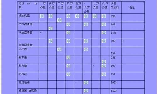 大众途锐保养费用多少_大众途锐保养费用