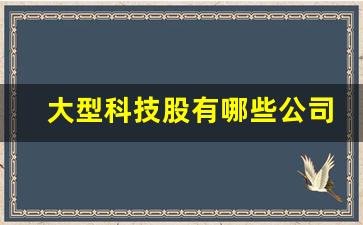大型科技股有哪些公司(科技股有哪些股票)_https://www.tuogunzhijia.com_内盘期货_第1张