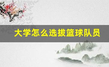 大学怎么选拔篮球队员-大学的篮球队怎么选人