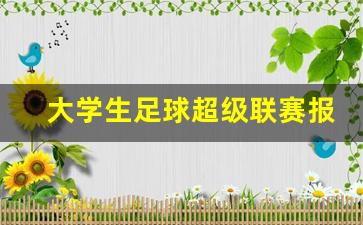 大学生足球超级联赛报名费多少-大学生足球超级联赛报名