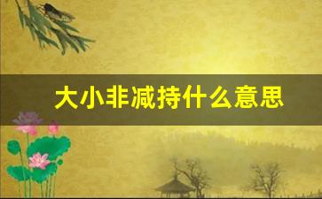 大小非减持什么意思(大小非减持规定)_https://www.syklpowerbike.com_科创板_第1张