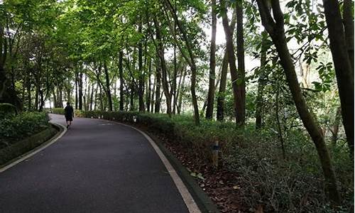 大岭山森林公园_大岭山森林公园观音寺