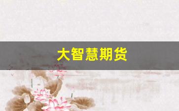 大智慧期货