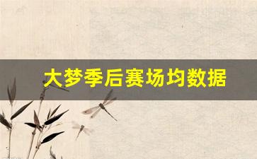 大梦夺冠阵容-大梦季后赛场均数据