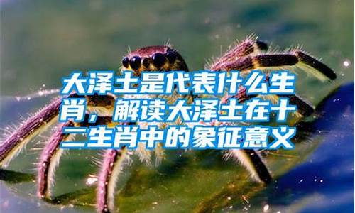 大泽土是什么生肖几岁_大泽土是什么生肖