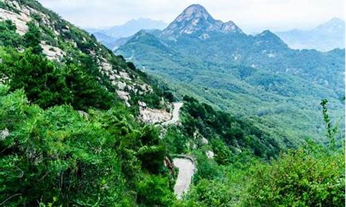 大泽山风景区旅游攻略_大泽山风景区门票多少钱