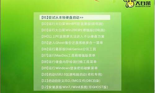 大白菜u盘启动的后台安装程序是什么_大u盘启动后怎么安装系统