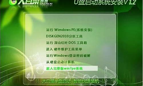 大白菜u盘装系统教程xp_大u盘装系统教程图解