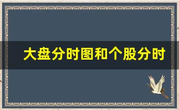 大盘分时图和个股分时图(大盘分时图中的黄白线分别代表什么)_https://www.shshucaipeisong.com_上交所_第1张