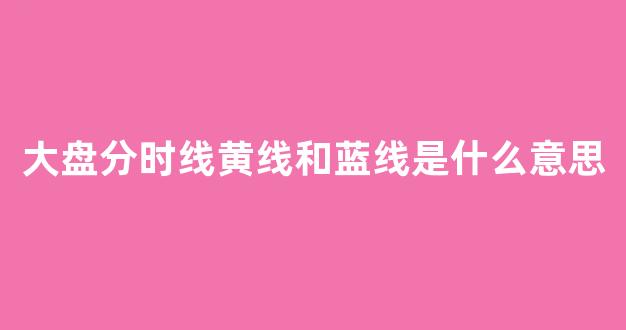 大盘分时线黄线和蓝线是什么意思(大盘分时线黄线白线代表什么)_https://www.qgjzrcxxzxpt.com_上期所_第1张