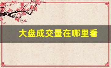大盘成交量在哪里看(股票当天成交量在哪里看)_https://www.qgjzrcxxzxpt.com_大商所_第1张