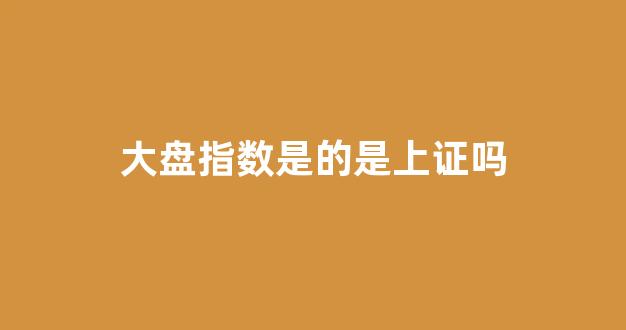 大盘指数是的是上证吗(大盘指的是上证指数)_https://www.dongshengweixin.com_上交所_第1张