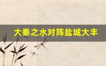 大秦之水对阵盐城大丰-大秦之水足球队中甲直播