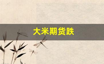 大米期货跌(大米的期货价格)_https://www.luoxuangg888.com_创业板_第1张