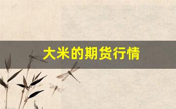 大米的期货行情(国际大米期货走势)_https://www.fzdzcxj.com_科创板_第1张