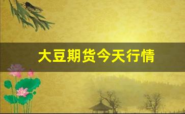 大豆期货今天行情(大豆期货今天行情怎么样)_https://www.haiwangdasha.com_上期所_第1张
