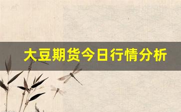大豆期货今日行情分析(大豆期货实时价格)_https://www.erdeww.com_期货_第1张