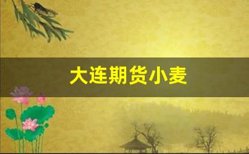 大连期货小麦(期货 小麦)_https://www.gfdzclz.com_科创板_第1张