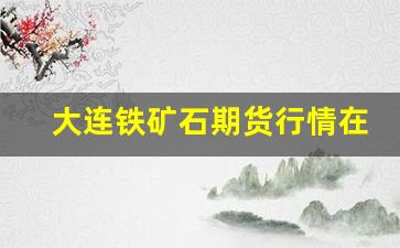 大连铁矿石期货行情在哪看(大连铁矿石期货交割标准)_https://www.haiwangdasha.com_中金所_第1张