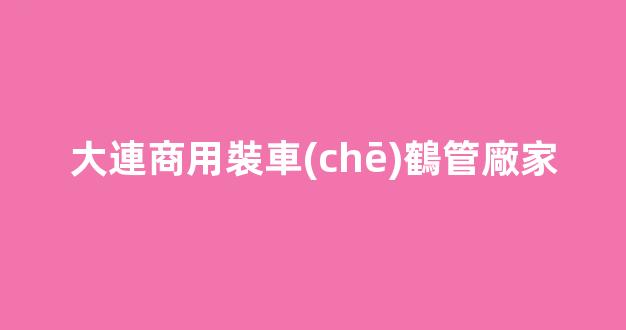 大連商用裝車(chē)鶴管廠家(1)