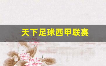 天下足球德甲重启-天下足球西甲联赛