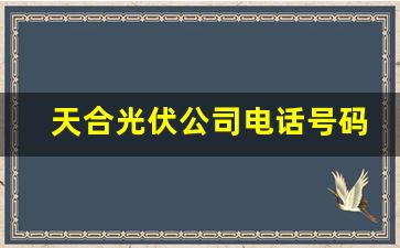 天合光伏公司电话号码多少(天合光伏公司电话号码多少号)_https://www.taocizhiliang.com_效果图_第1张