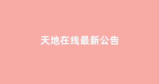 天地在线最新公告(天地在线股份有限公司)_https://www.hhem8.com_上交所_第1张