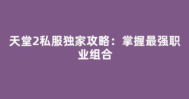 天堂2私服独家攻略：掌握最强职业组合