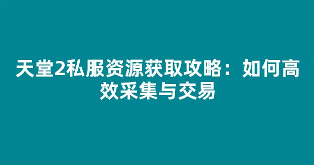 天堂2私服资源获取攻略：如何高效采集与交易