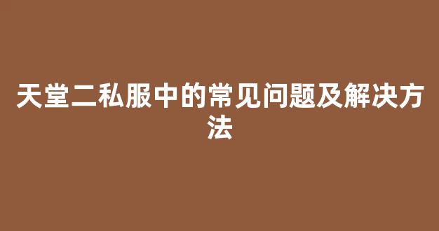 天堂二私服中的常见问题及解决方法