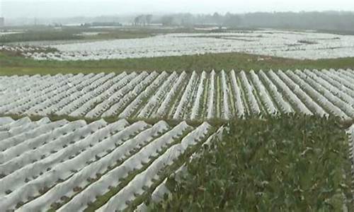 为您的品质生活提供天气信息_天气信息助力生产生活