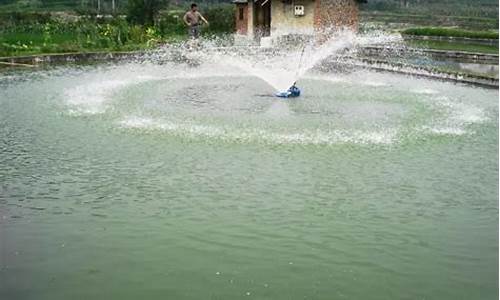 天气太热池塘就要增氧吗为什么_天气太热池塘就要增氧