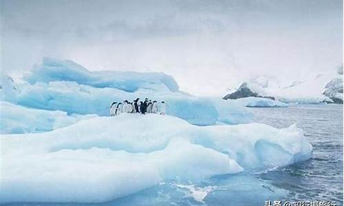 中国大陆南极村天气预报_天气预报没有南极