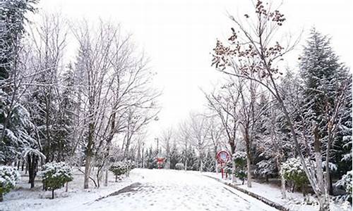 天水秦安天气雨报_天水秦安天气后报