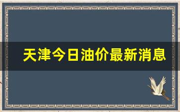 天津今日油价最新消息表最新消息-天津地区今日油价