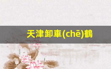 天津卸車(chē)鶴管廠家(鶴管裝卸車(chē)操作規(guī)程)(1)
