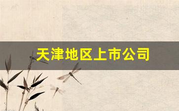 天津地区上市公司(天津市的上市公司名录)_https://www.fzdzcxj.com_创业板_第1张