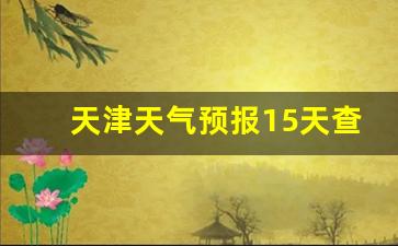 天津天气预报15天查洵_天津天气预报15天查询一周
