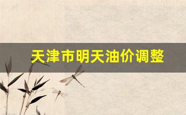 天津明日油价调整-天津市明天油价调整