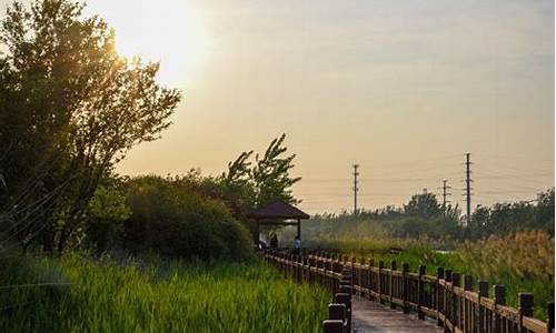 天津市武清区北运河郊野公园还能露营吗-天津市武清区北运河郊野公园