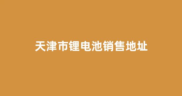 天津市锂电池销售地址(天津锂电池批发)_https://www.luoxuangg888.com_深交所_第1张