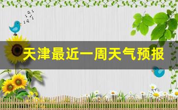 天津最近一周天气预报30天查询结果_天津最近一周天气预报30天查询结果是什么