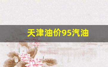天津油价95汽油-天津油价95汽油价格